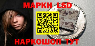 шишки Обнинск