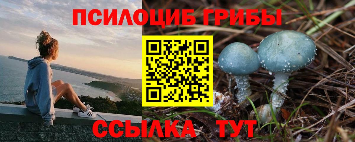 Псилоцибиновые грибы мицелий Урус-Мартан